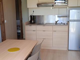 Chalet - 5 pers., animaux OK - API-1-52-2306 - 8