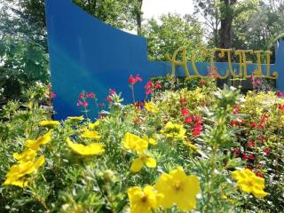 Mobil-home convivial, animaux admis - 6 pers. - API-1-52-2309 - 1