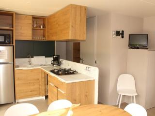 Mobil-home climatisé - 6 pers. - API-1-52-2311 - 6