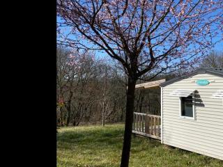 Mobil home animaux OK - 6 pers. - API-1-52-2395 - 9