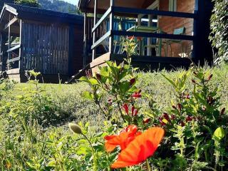 Chalet accueillant animaux - 7 pers. - API-1-52-2392 - 7