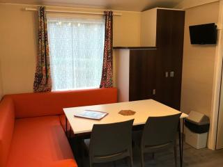 Mobil-home accueillant animaux - 6 pers. - API-1-52-2355 - 9