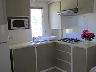 Mobil home animaux OK - 2 pers. - API-1-52-2379 - 5