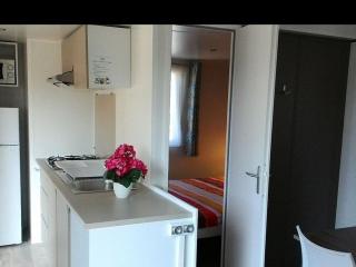 Mobil home acceptant animaux - 2 pers. - API-1-52-2366 - 9