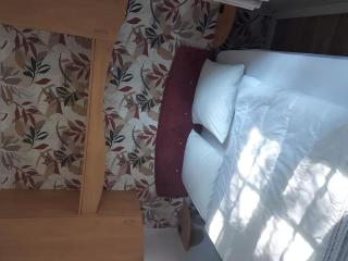 Mobil-home climatisé - 4 pers. - API-1-52-2364 - 9