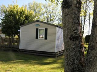 Mobil-home animaux OK - 6 pers. - API-1-52-2418 - 3