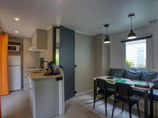 Mobil home, animaux admis - 10 pers. - API-1-52-2466 - 9