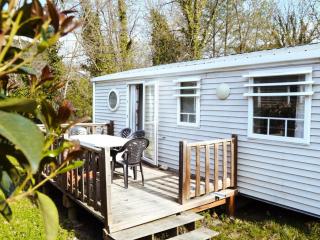 Mobil-home clim, animaux OK - 6 pers. - API-1-52-2476 - 0