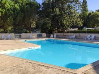 Mobil-home climatisé, animaux OK - 6 pers. - API-1-52-2509 - 1