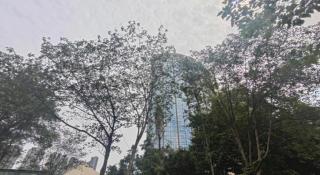 Vienna International Hotel Chengdu New International Conference and Exhibition Center Branch - 3