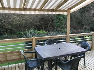 Mobil home confortable - 4 pers. - API-1-52-2510 - 1