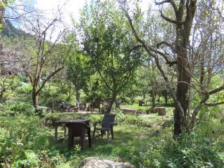 Jibhi Garden Heritage Home Stay - 0