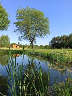 Siedlisko Gruszeczki -  - 7