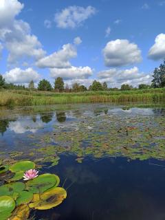 Siedlisko Gruszeczki -  - 6