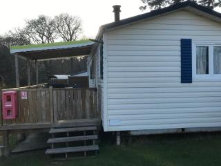 Mobil-home, animaux admis - 6 pers. - API-1-52-2592 - 9