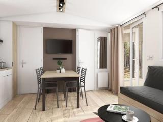 Mobil-home accueillant, animaux acceptés - 7 pers. - API-1-52-2597 - 6