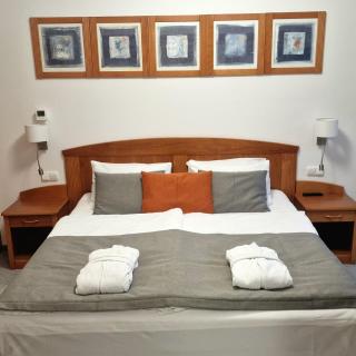 Alma Wellness & SPA Zalakaros - 5