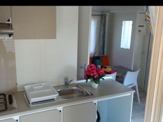 Mobil home, animaux admis - 2 pers. - API-1-52-2667 - 7