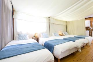 half Glamping 星音C棟 - 7