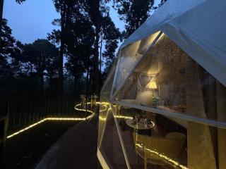 The Edens Glamp Munnar - 8