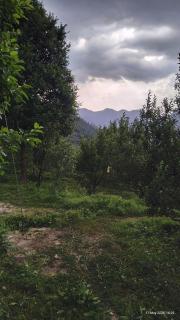 Valeria by Xtastays, Deohari, Sainj Valley, Kullu - 9