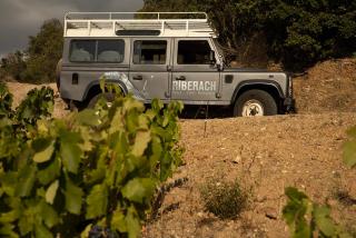 Domaine Riberach - Restaurant gastronomique - Spa - Piscine naturelle - Vignoble bio - Bélesta - 2