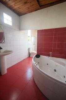 lémurien couronné - 4