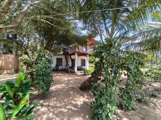 Coconut guest house - 2