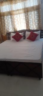 Shanti Jungle cottage - Mashobra - 9