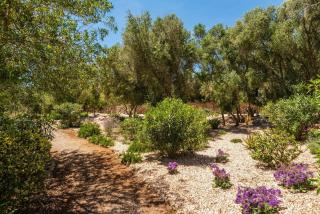 Villa Las Rocas - Alaior - 9