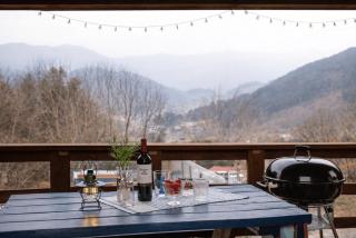 Green Bee Pension - 9