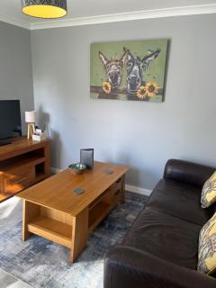 Silvermead stables Own access studios near Plymouth Life Centre FREE parking - 6