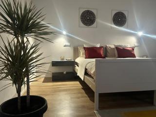 Relax in Padua, Near the Arena and the Canottieri Club - 8