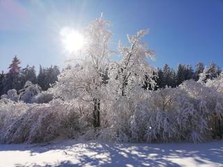 Neu! Ferienhaus Melita mit Terrasse - 7