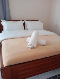 The Elite havens - 7