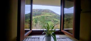 El Rincón de la Naturaleza - 7