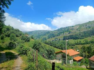 El Rincón de la Naturaleza - 8