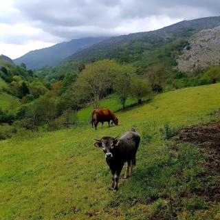 El Rincón de la Naturaleza - 9