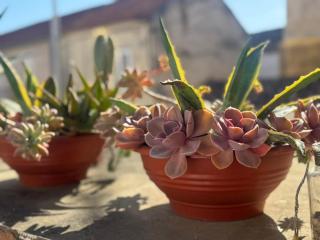 La Corte di Kate - 2