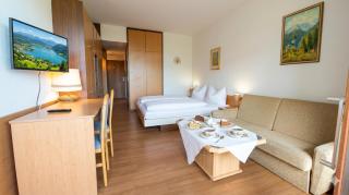 LA2 Seeblick Appartement Haus Landskron mit direktem Seezugang am Ossiachersee - 9