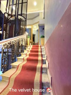 THE velvet HOUSE - 1