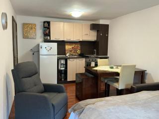 Violet Cozy Apartment - Bansko - 5