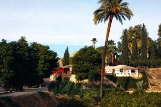 La Joya del Valle de Ricote - 8