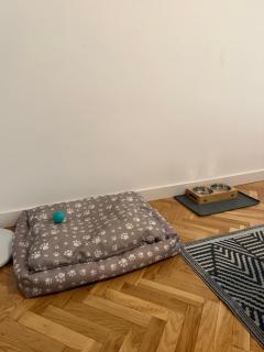 VUT Torreón de los Guzmanes - 7