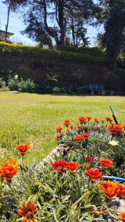 Glendale Bungalow - 7