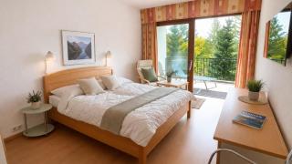 LB3 Seeblick Appartement Haus Landskron mit direktem Seezugnag am Ossiachersee - 3