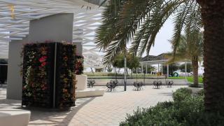 2BR Palm Grove Haven Luxe Chic Retreat - 9