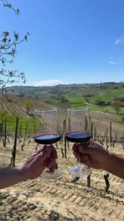 Sogno La Vigna - Adults Only - 8