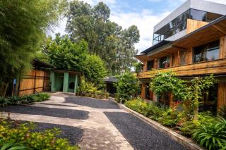 Palenque Volcanoes - 4