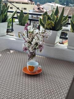 Vila Haznedari-City Center - Berat - 6